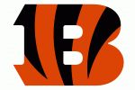 Cincinnati Bengals -Rip 318
