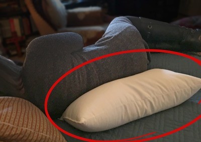 FULLBACK — Buckwheat Therapy Body Pillow FULLBACK — Buckwheat Therapy Body Pillow