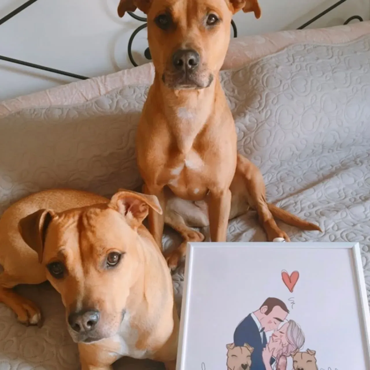 Abbraccio Illustrato