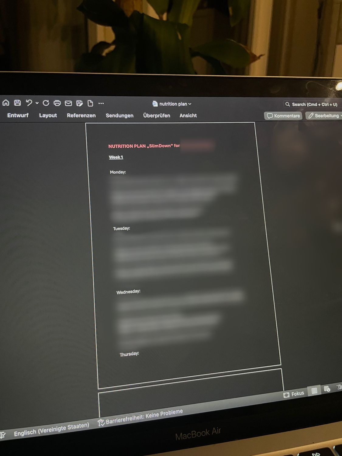 Ernährungsplan "SlimDown"
