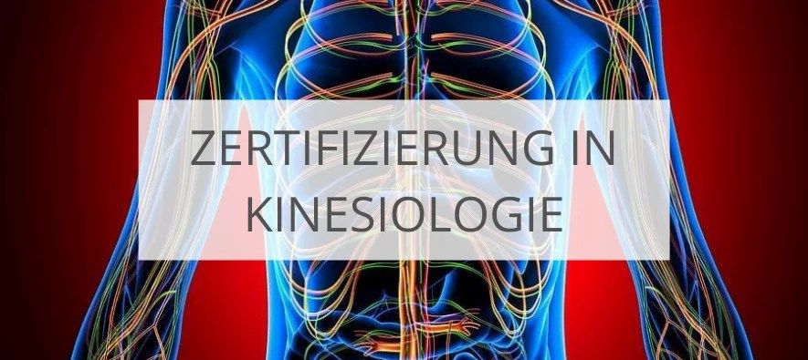 Kinesiologie für Mensch &amp; Tier – Bewegung, Balance, Bioenergie  Touch for Health | Brain Gym | EduKinestetik | Tierkinesiologie | Präventionsberatung