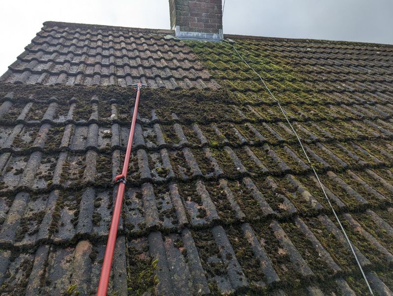 Roof Cleaning
