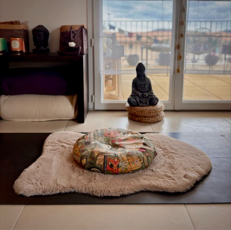 Cours de Pranayama &amp; méditation en session privée de 30 minutes
