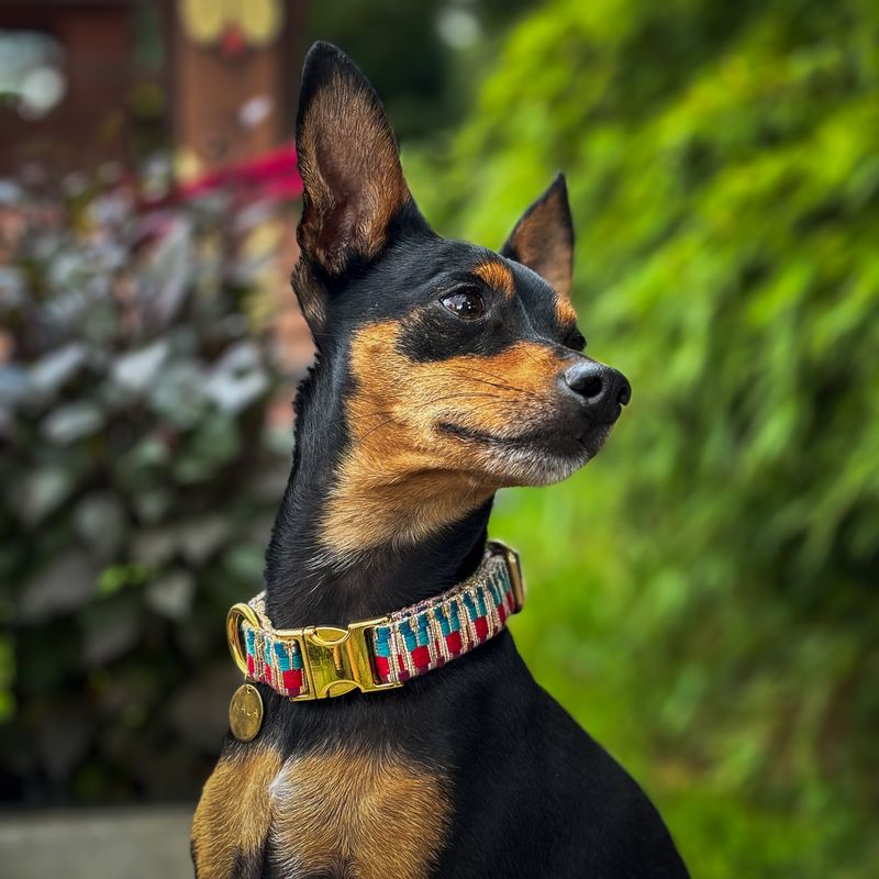 handgefertigtes Halsband "Rainbow"