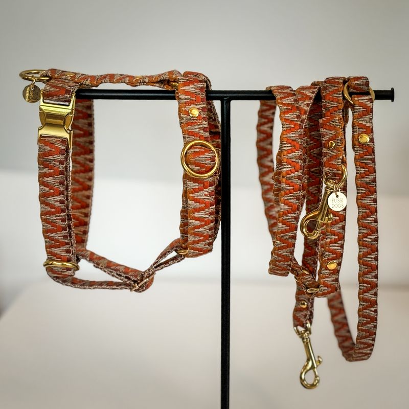 Hundeleine "Orange"