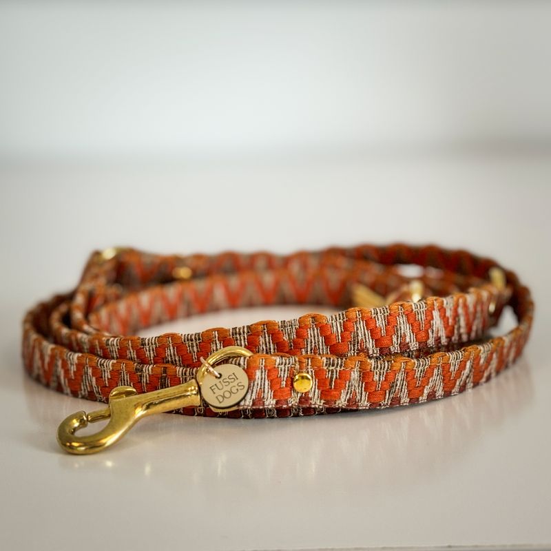 Hundeleine "Orange"