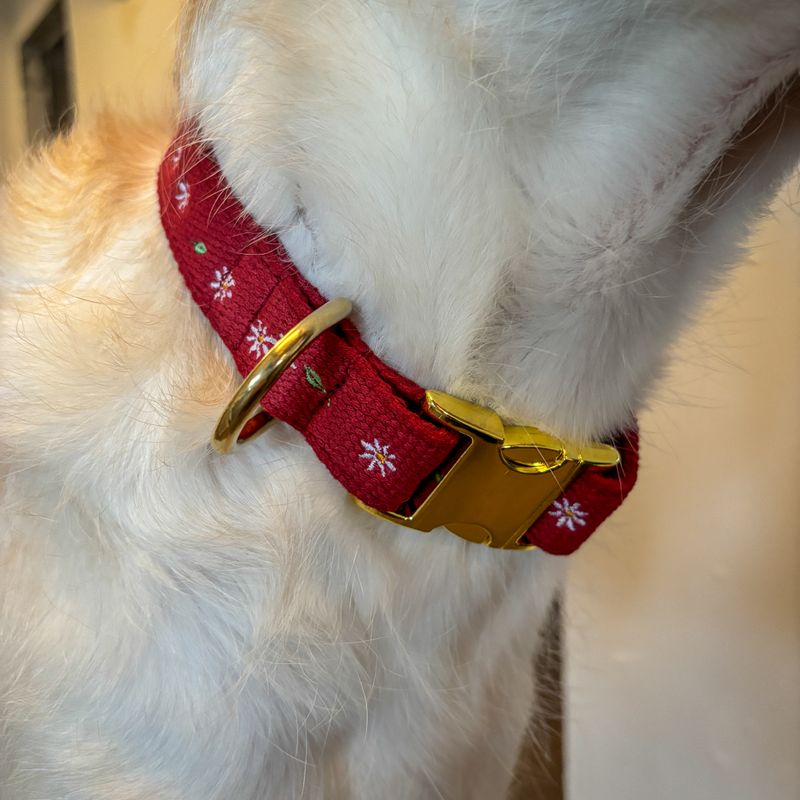 Motiv besticktes Hundehalsband "Nature Daisy"
