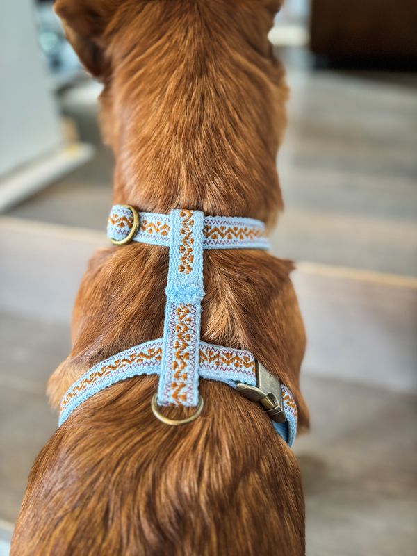 besticktes Hundegeschirr "Nature Sky Blue"