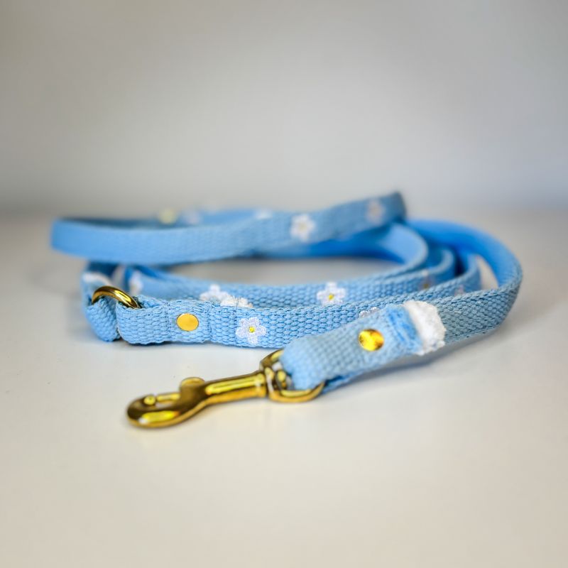 Motiv bestickte Hundeleine "Nature Daisy Sky Blue"