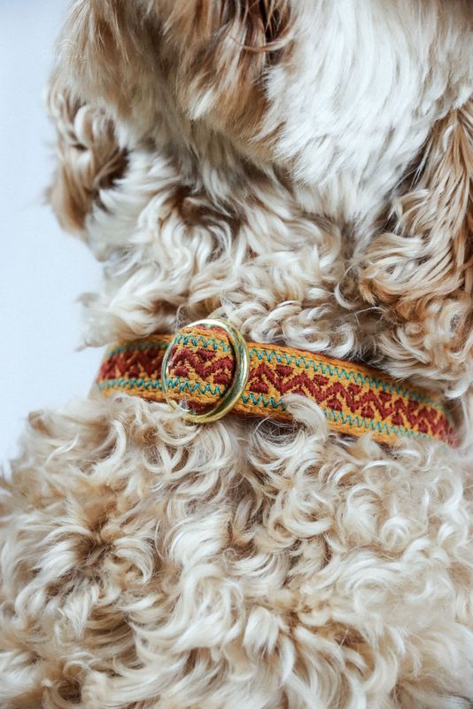 besticktes Hundehalsband ""Nature Mustard""