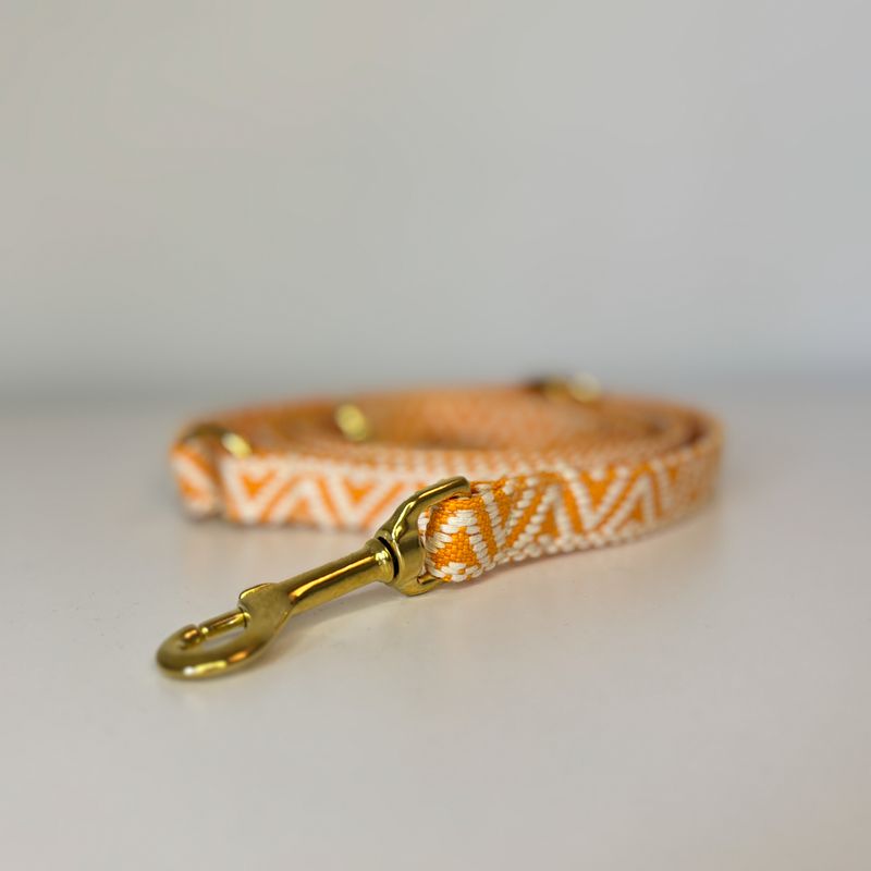 Hundeleine "Amber Glow"