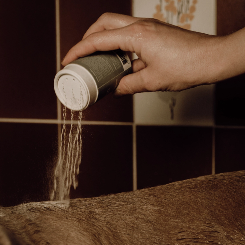 Nellumbo – Schaumpulver Hundeshampoo - Nellumbo