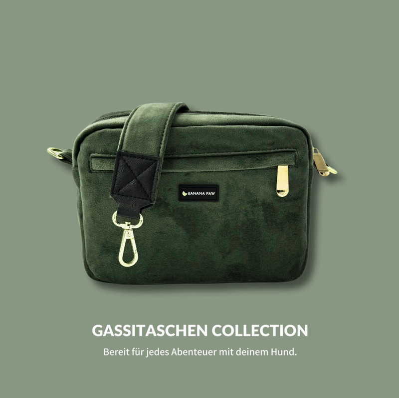 BananaPaw - Taschen-Set für stressfreie Gassirunden - Forest Glow