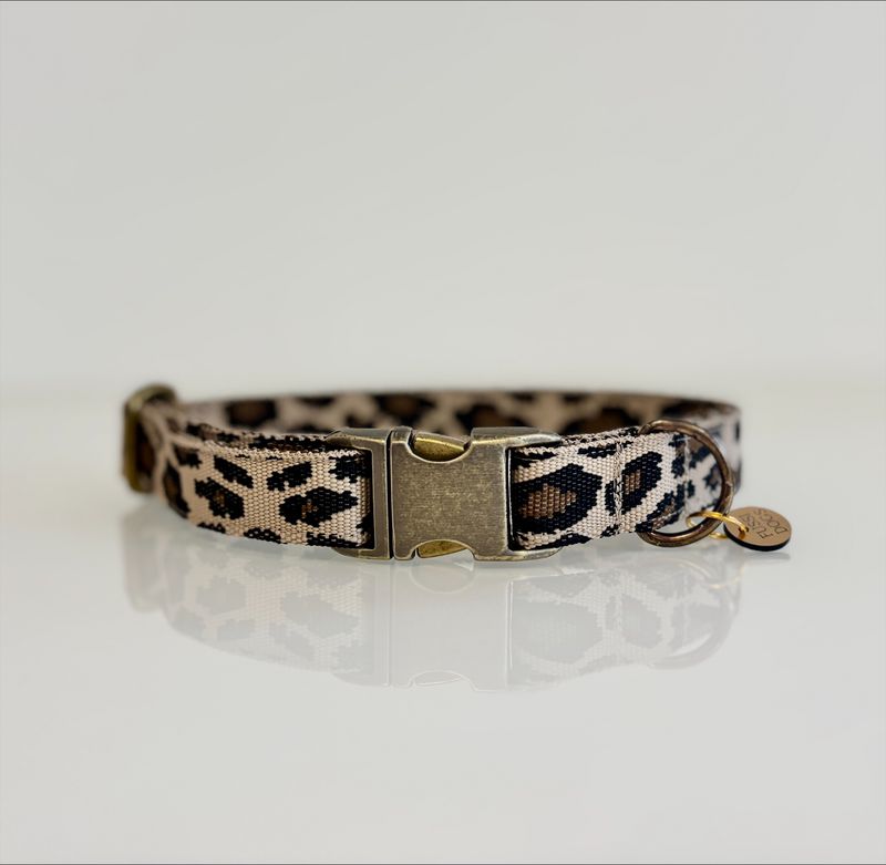 handgefertigtes Halsband "Fussi-Wild"