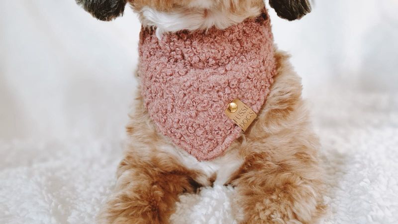 Hundehalstuch "Cosy Rose"