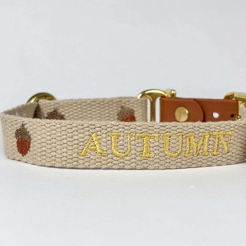 Hundehalsband „Autumn“ – handgefertigt