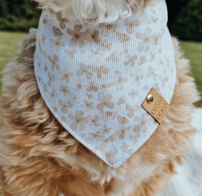 Hundehalstuch "Boho Flower“