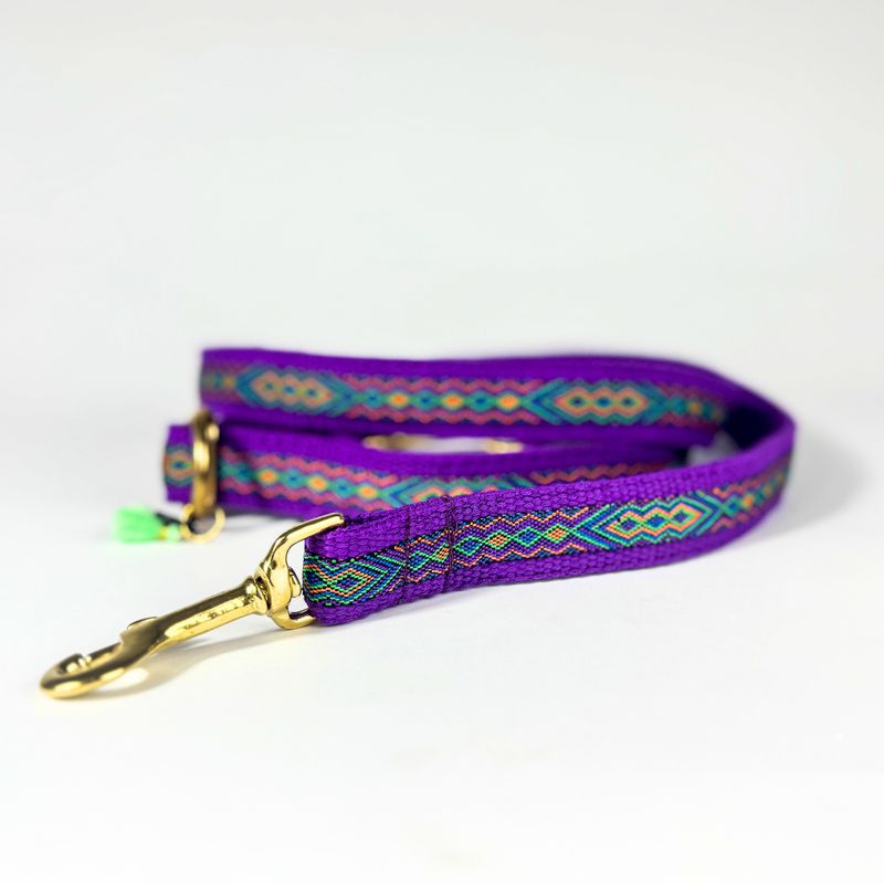 handgemachte Hundeleine "Fiesta"