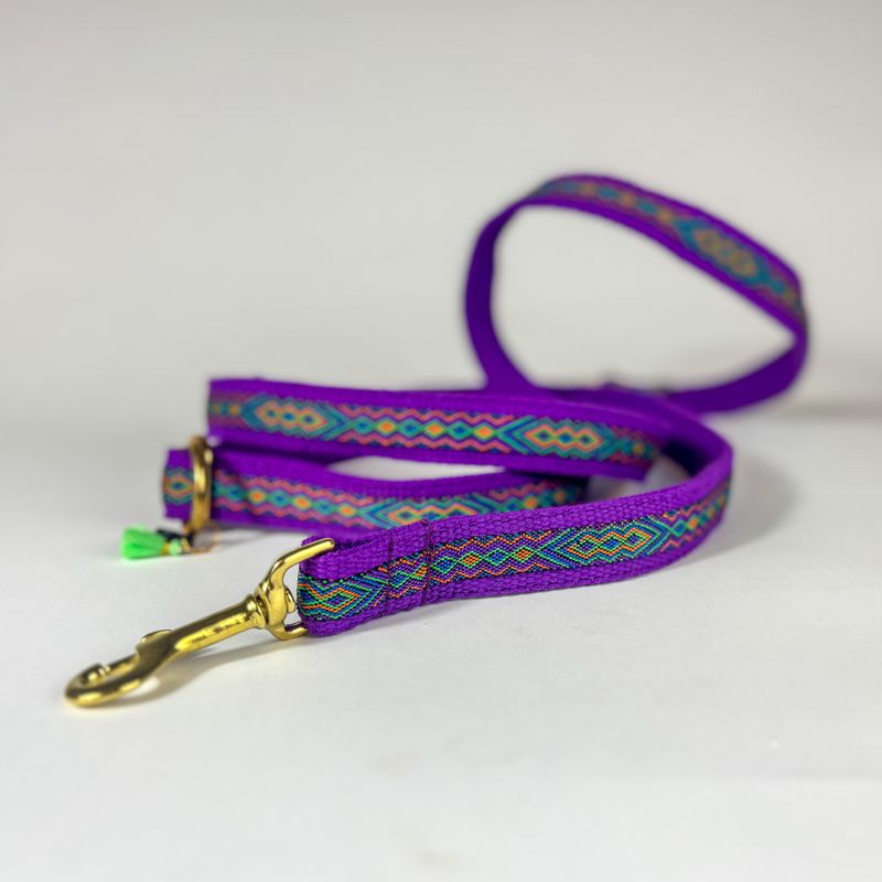 handgemachte Hundeleine "Fiesta"