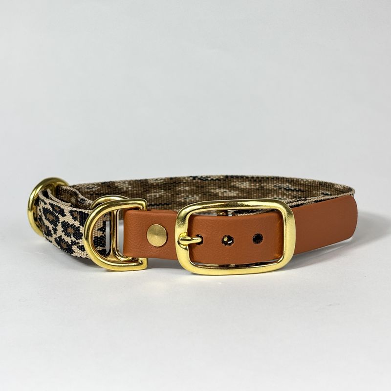 Hundehalsband „Fussi-Wild“ – robust & handgefertigt