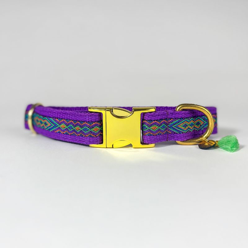 Hundehalsband „Fiesta“ – handgefertigt