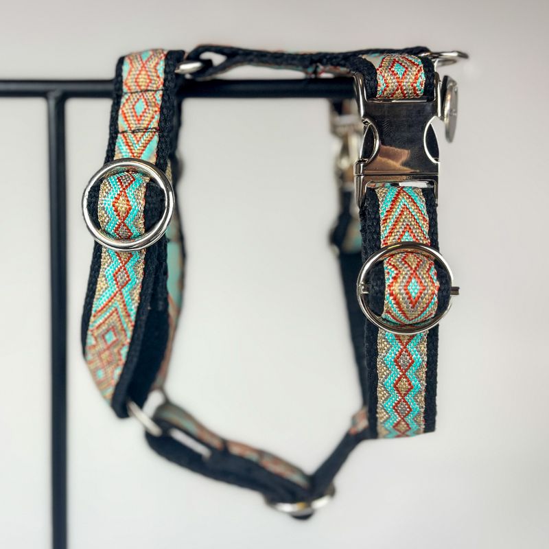 Handgefertigtes Hundegeschirr „Golden Desert“ – für Alltag & Abenteuer
