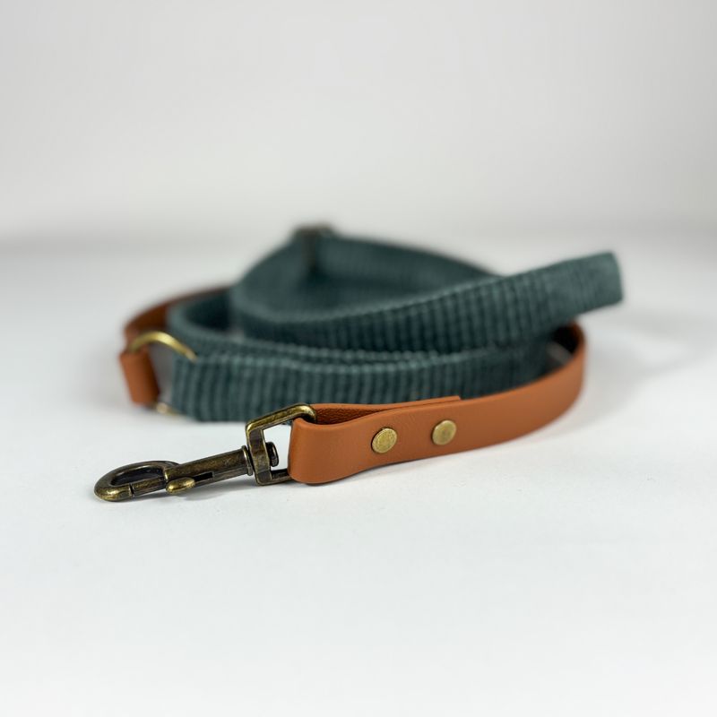 handgefertigte Hundeleine "Eukalyptus" mit Biothane