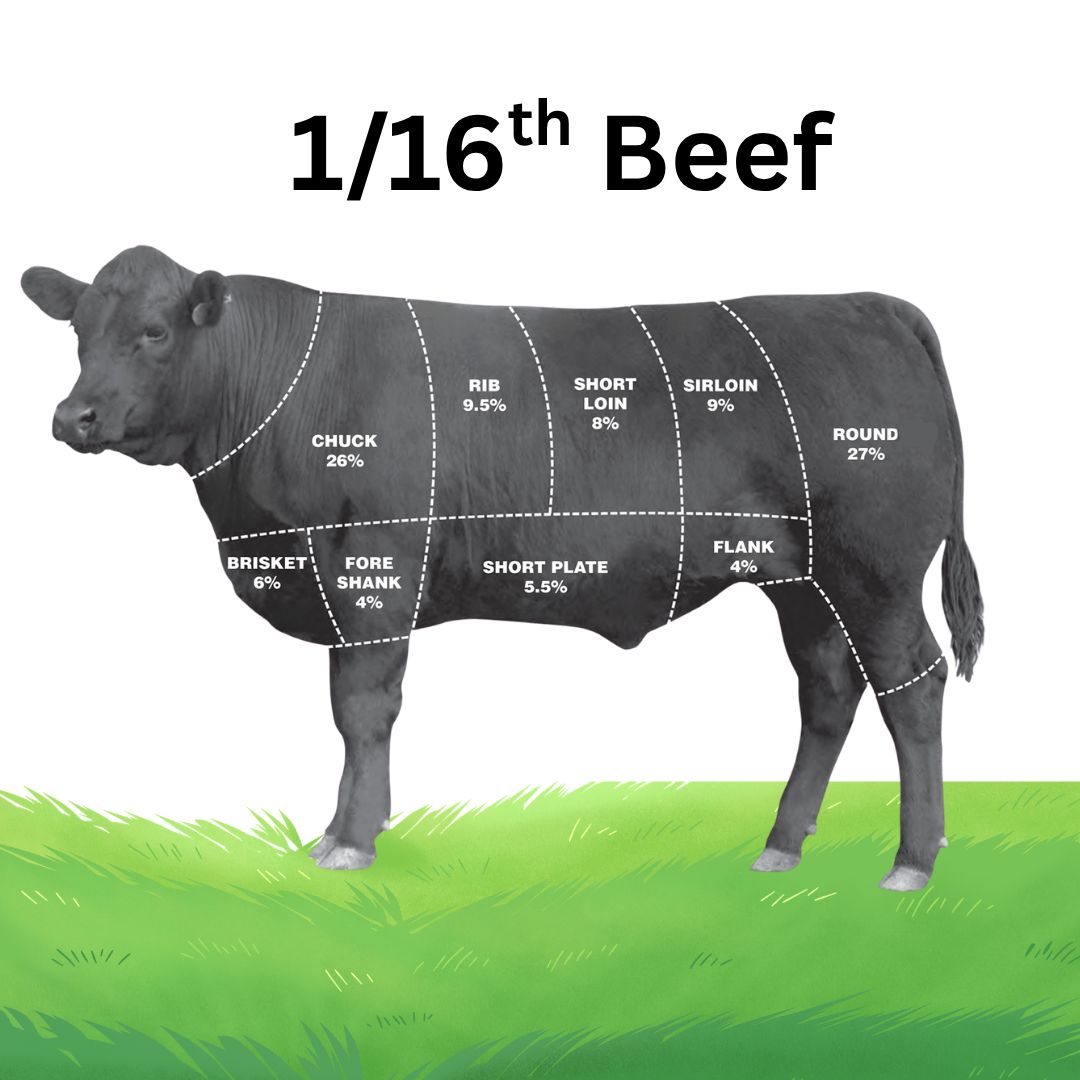 1/16 Beef