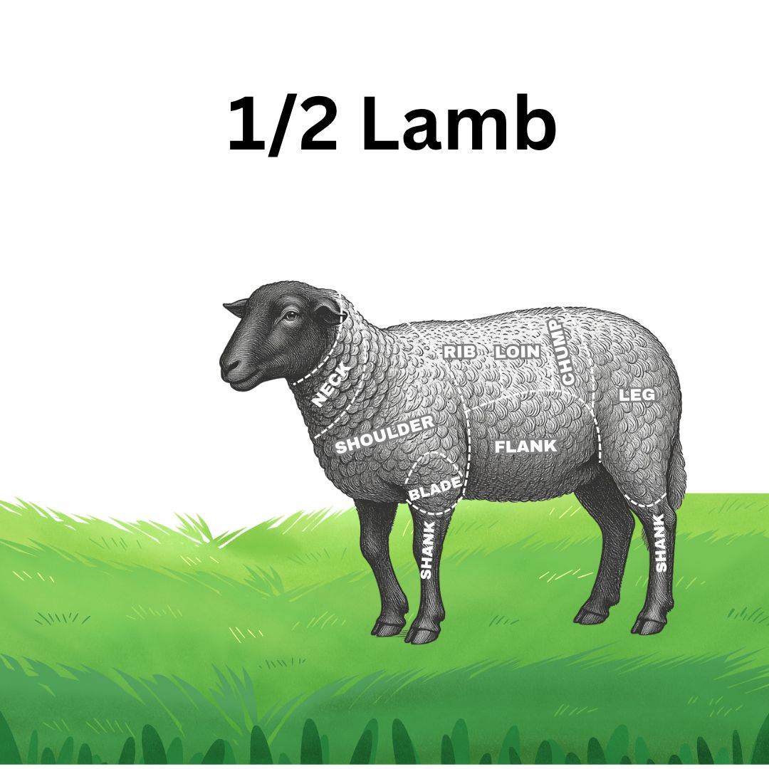 1/2 Lamb