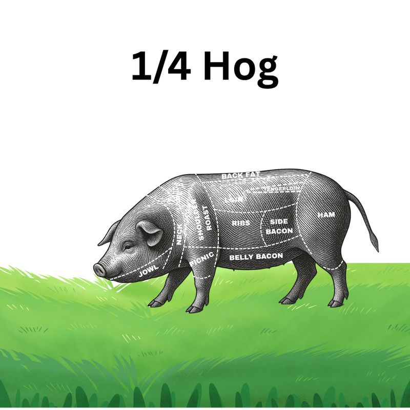 1/4 Hog