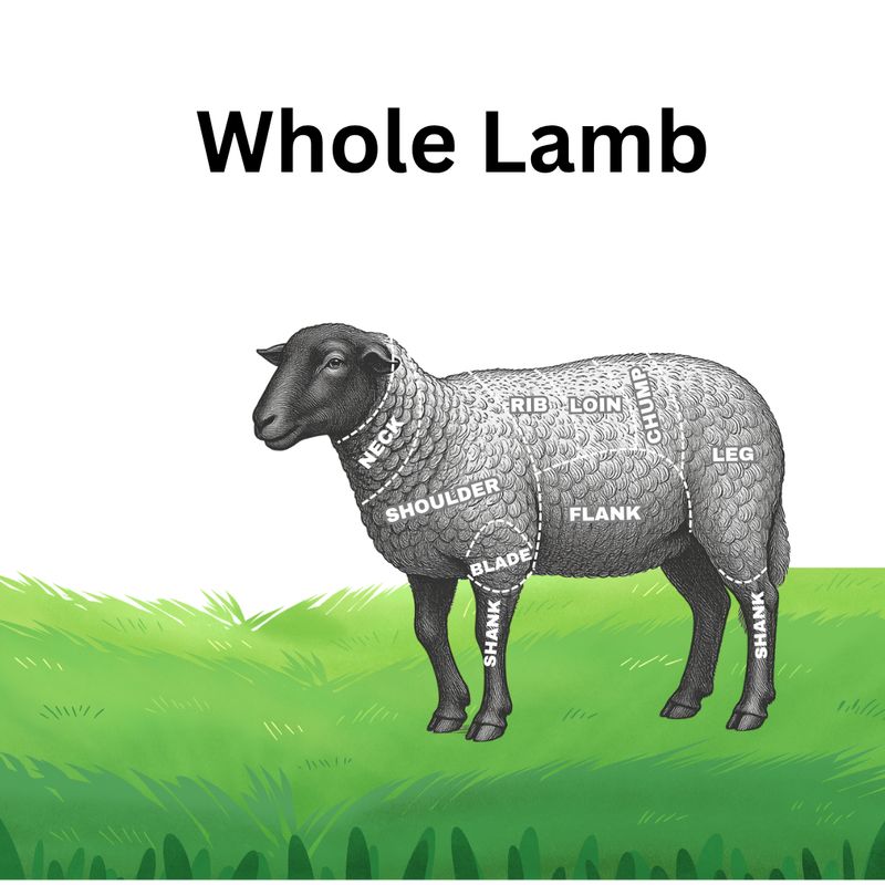 Whole Lamb