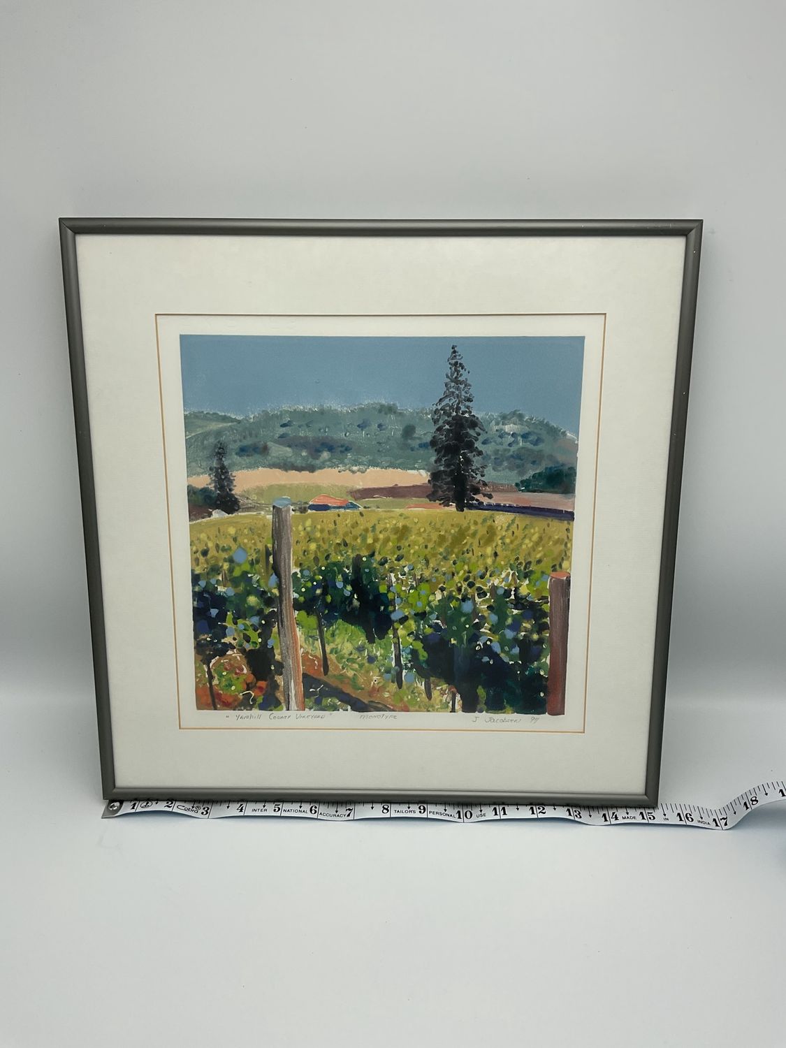Yamhill County Vineyard J. Jacobsen