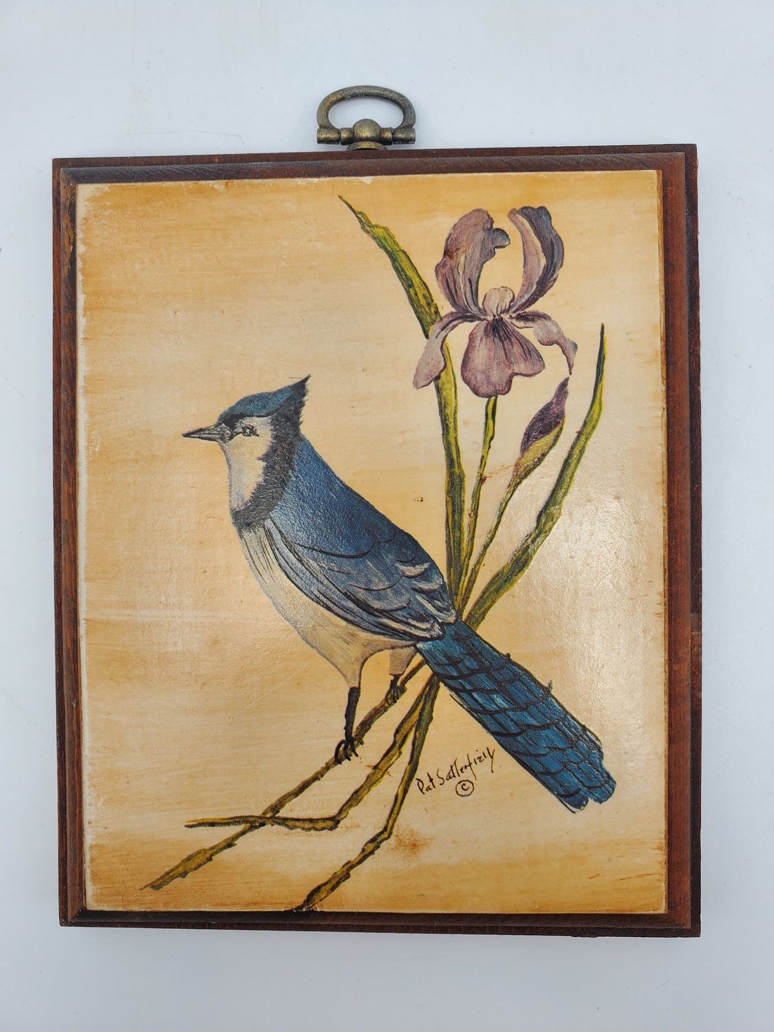 Blue jay painting by Pat Satterfield
