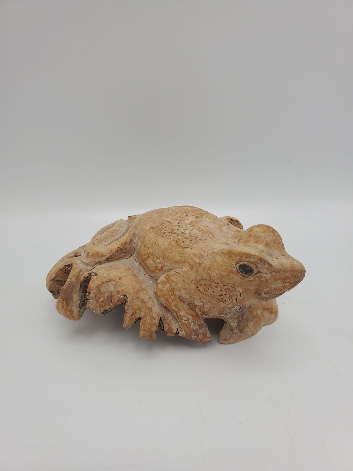 Frog hand carved burl wood