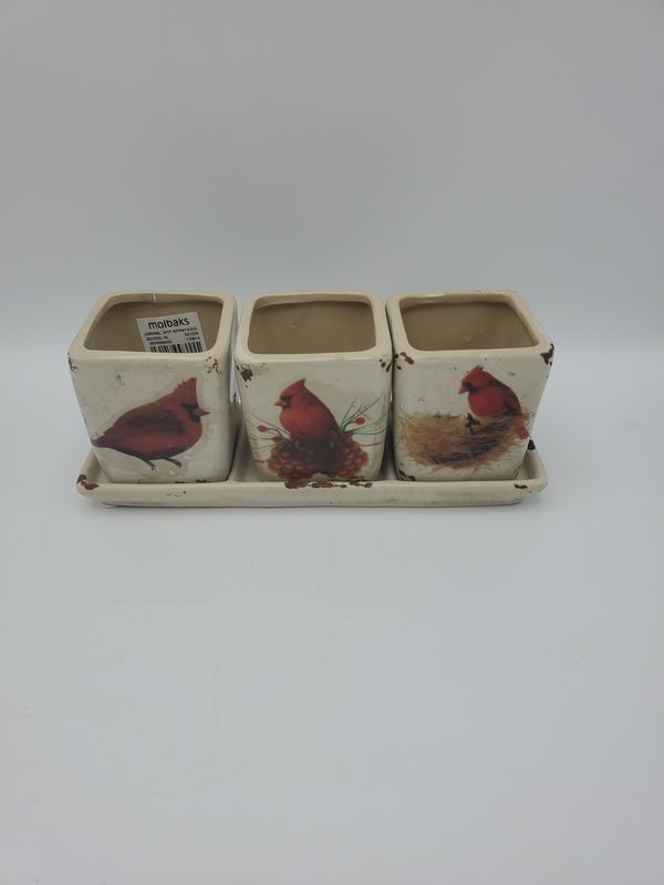 3 Cardinal Ceramic Planters Set