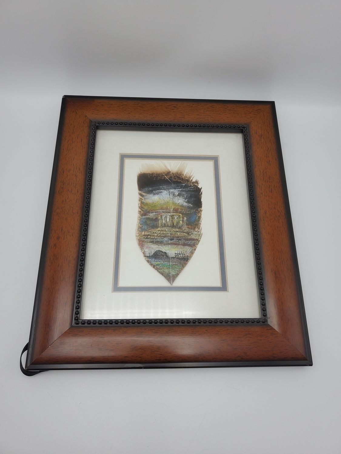 Framed Hand-Painted Feather Art
