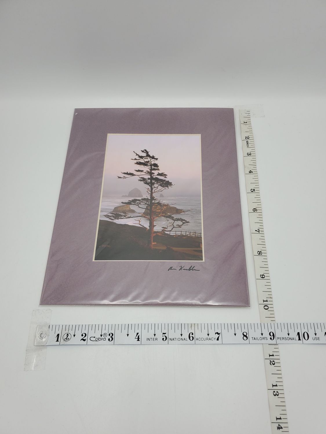 Ecola State Park Oregon Don Kachler