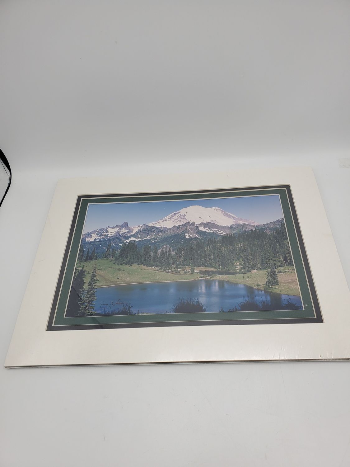 Mt. Rainier Reflection Lake Gerry Lamarre