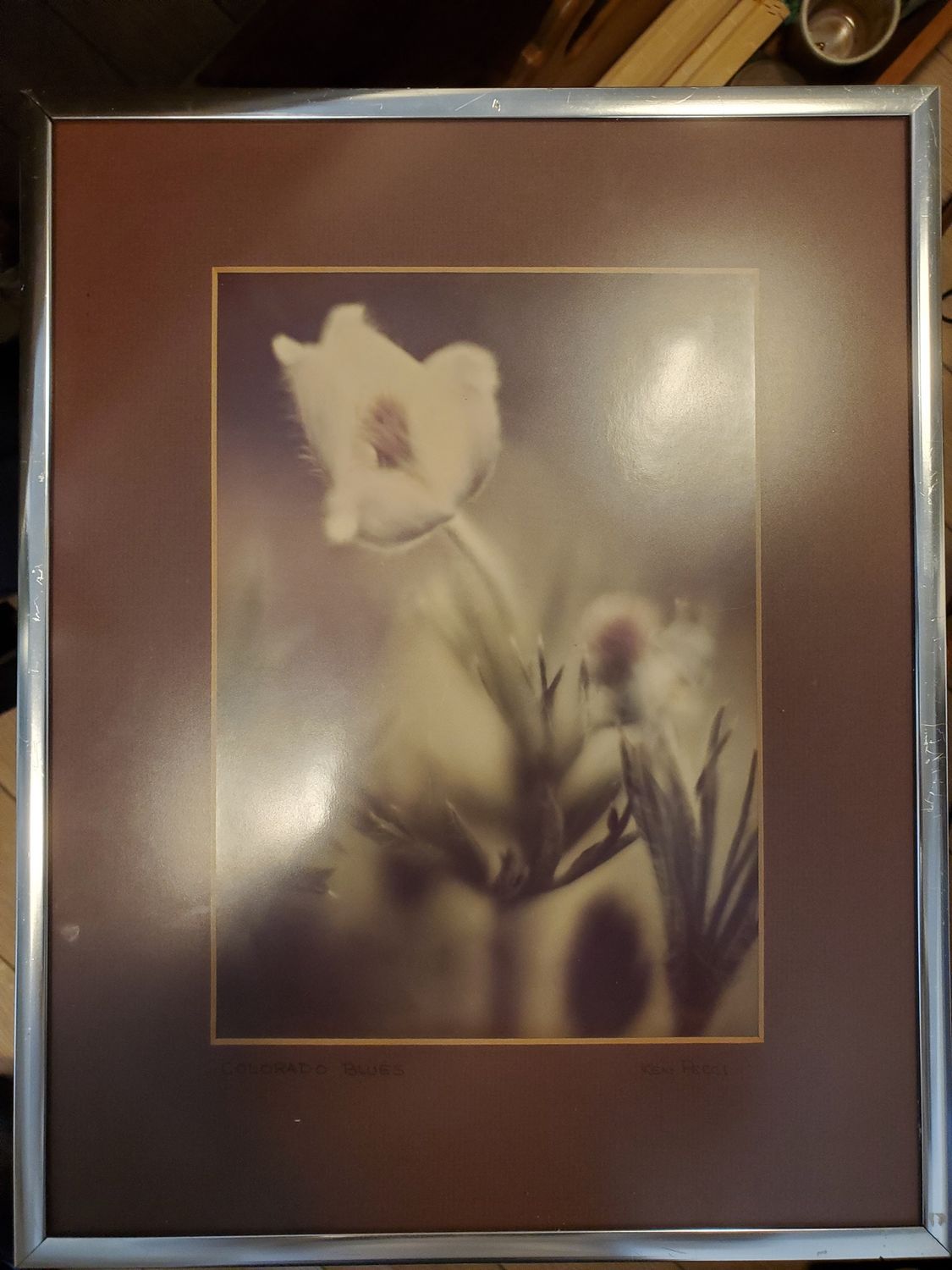 Colorado Blues by Ken Recci