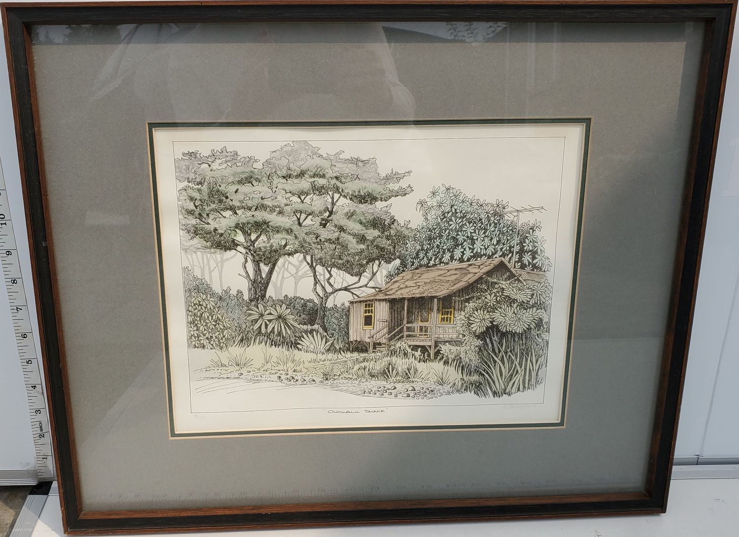 Olowalu Shack by D. Berryman