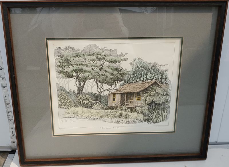 Olowalu Shack by D. Berryman