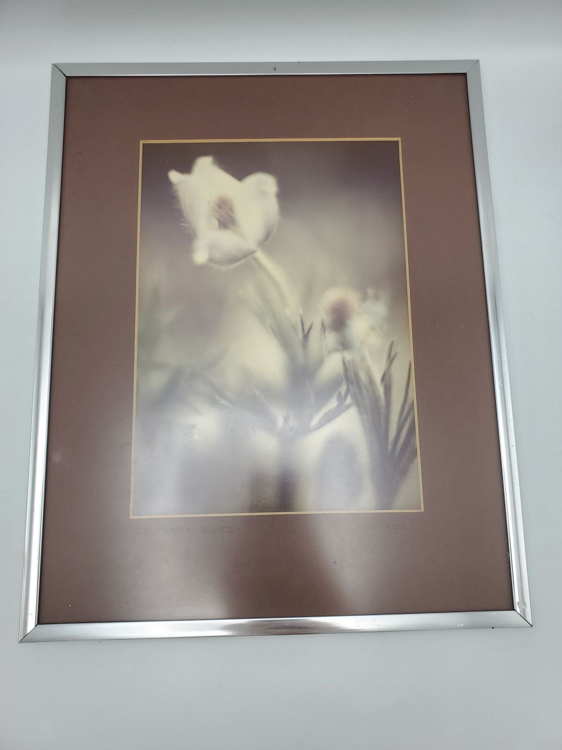 Ken Pecci Colorado Blues Framed Photograph