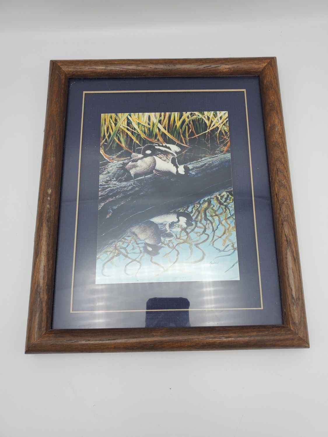 Ducklings on Log Framed Print