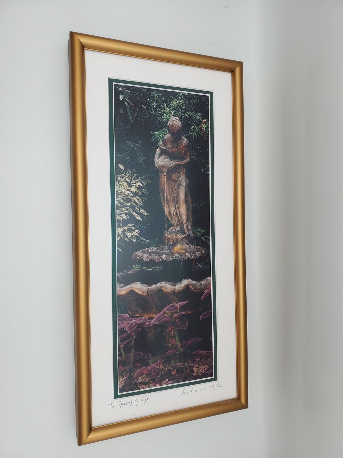 Sandra Lee Reha, The Spring of Life Framed Photo