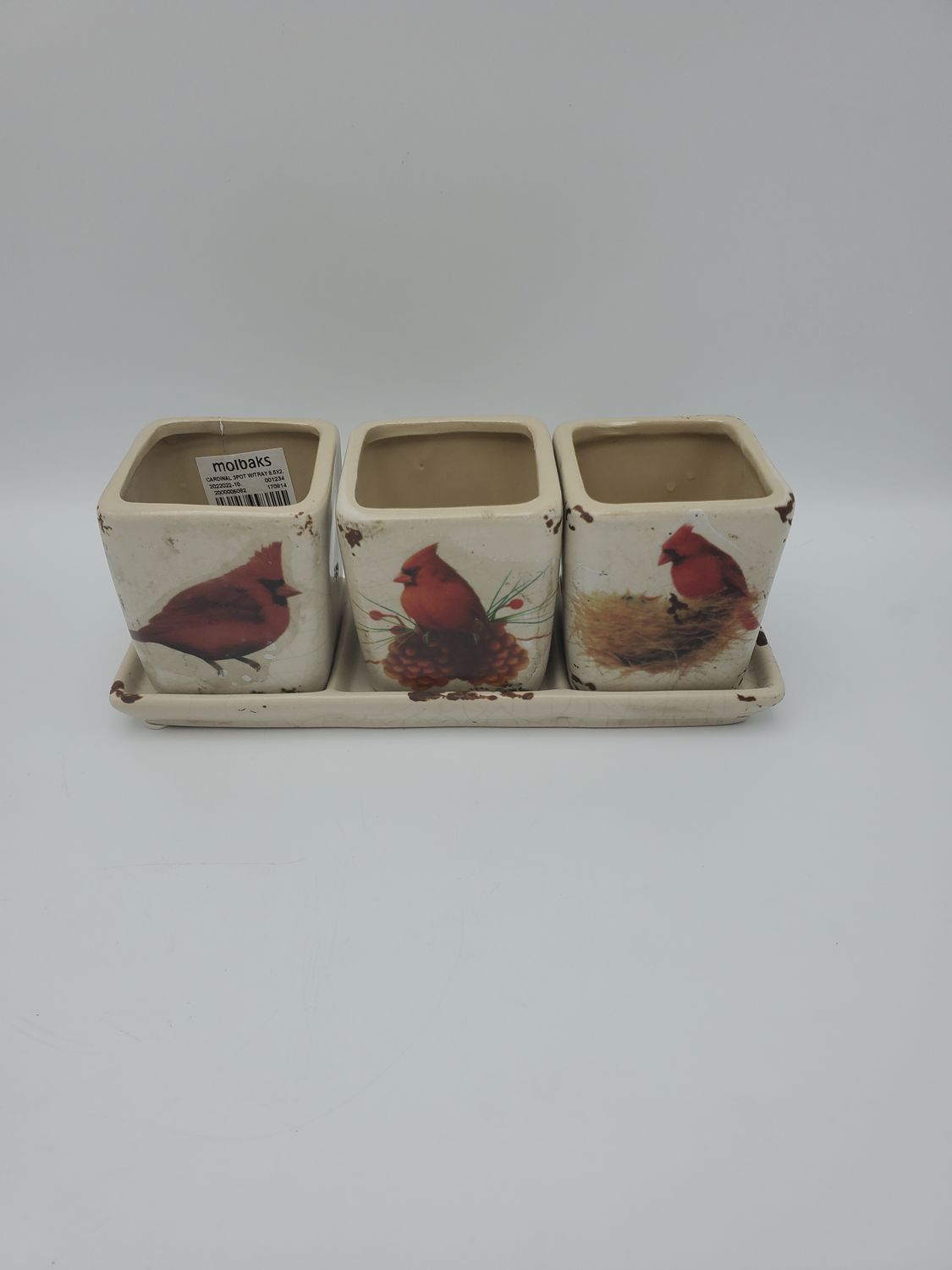 3 Cardinal Ceramic Planters Set