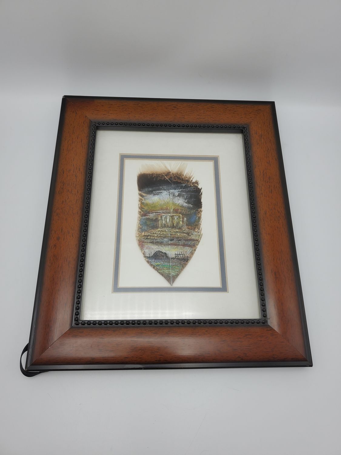Framed Hand-Painted Feather Art