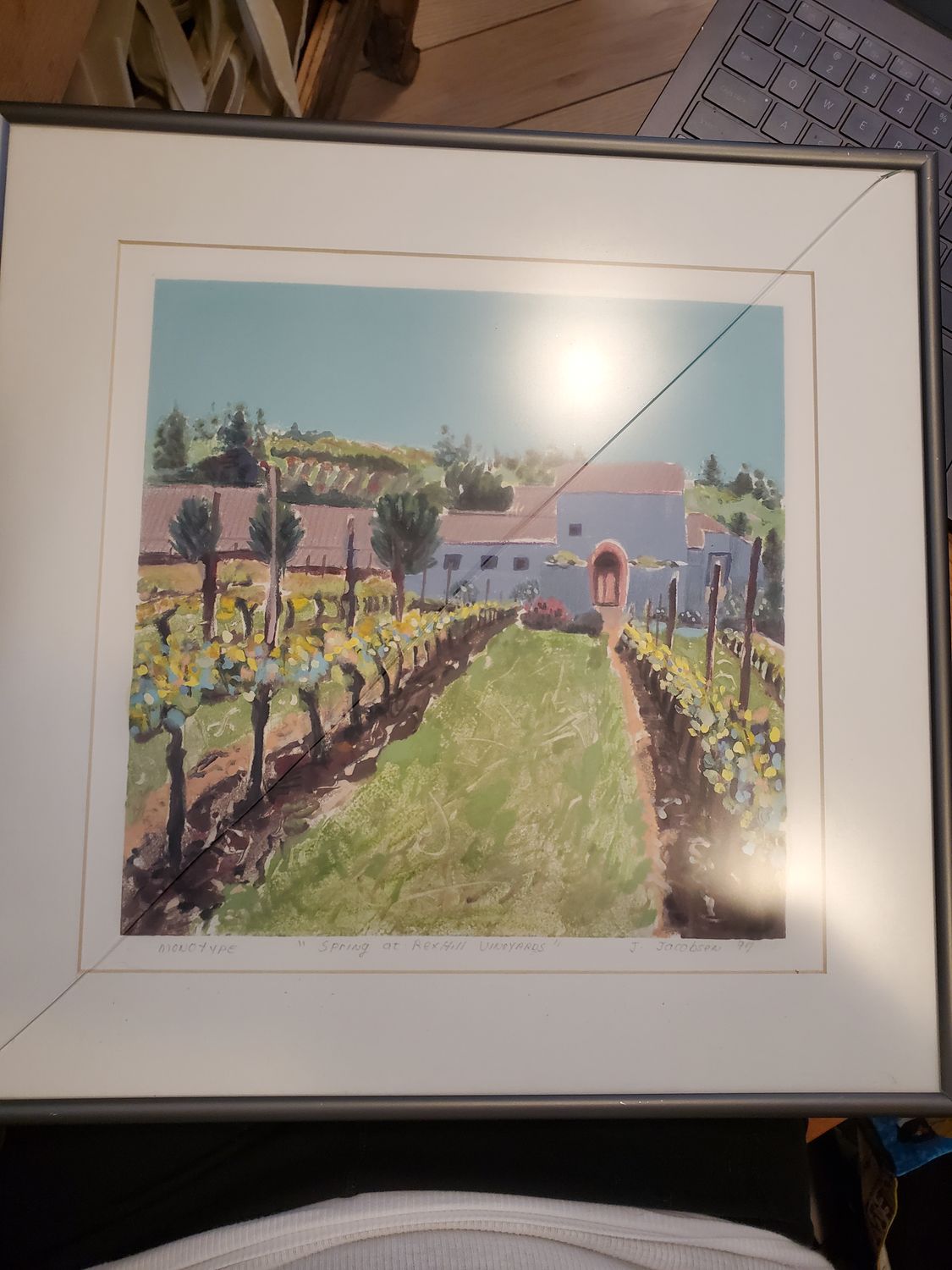Spring at Rexhill Vineyards (Broken)