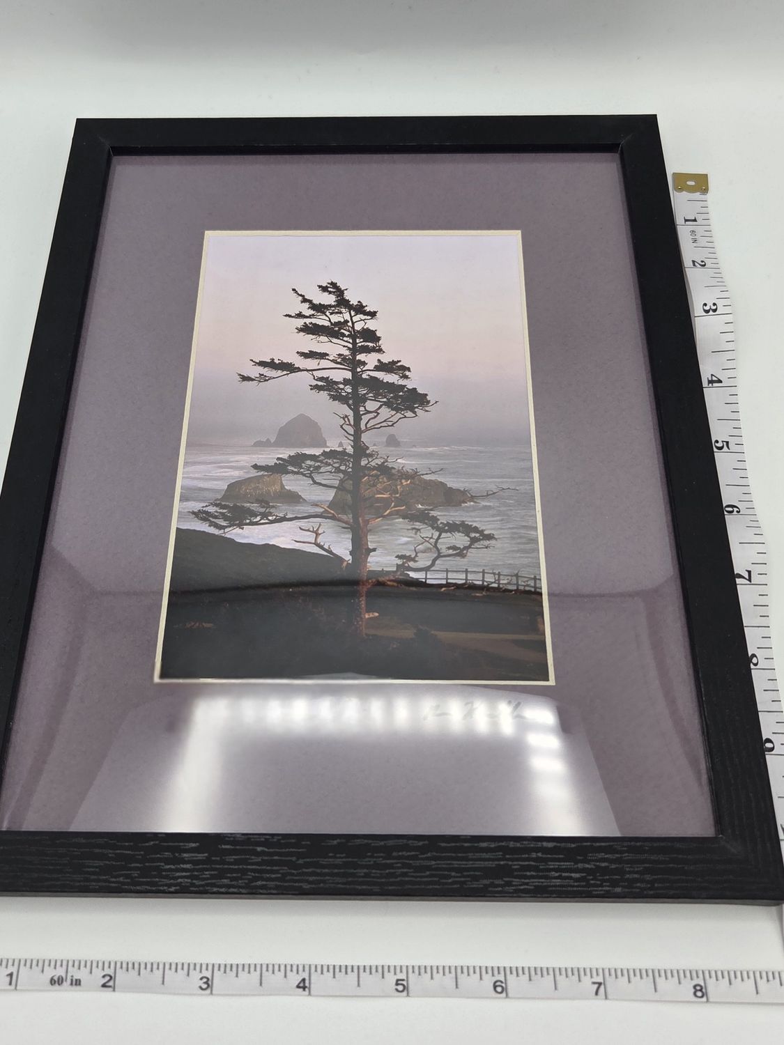 Coastal Tree Signed Framed Photo