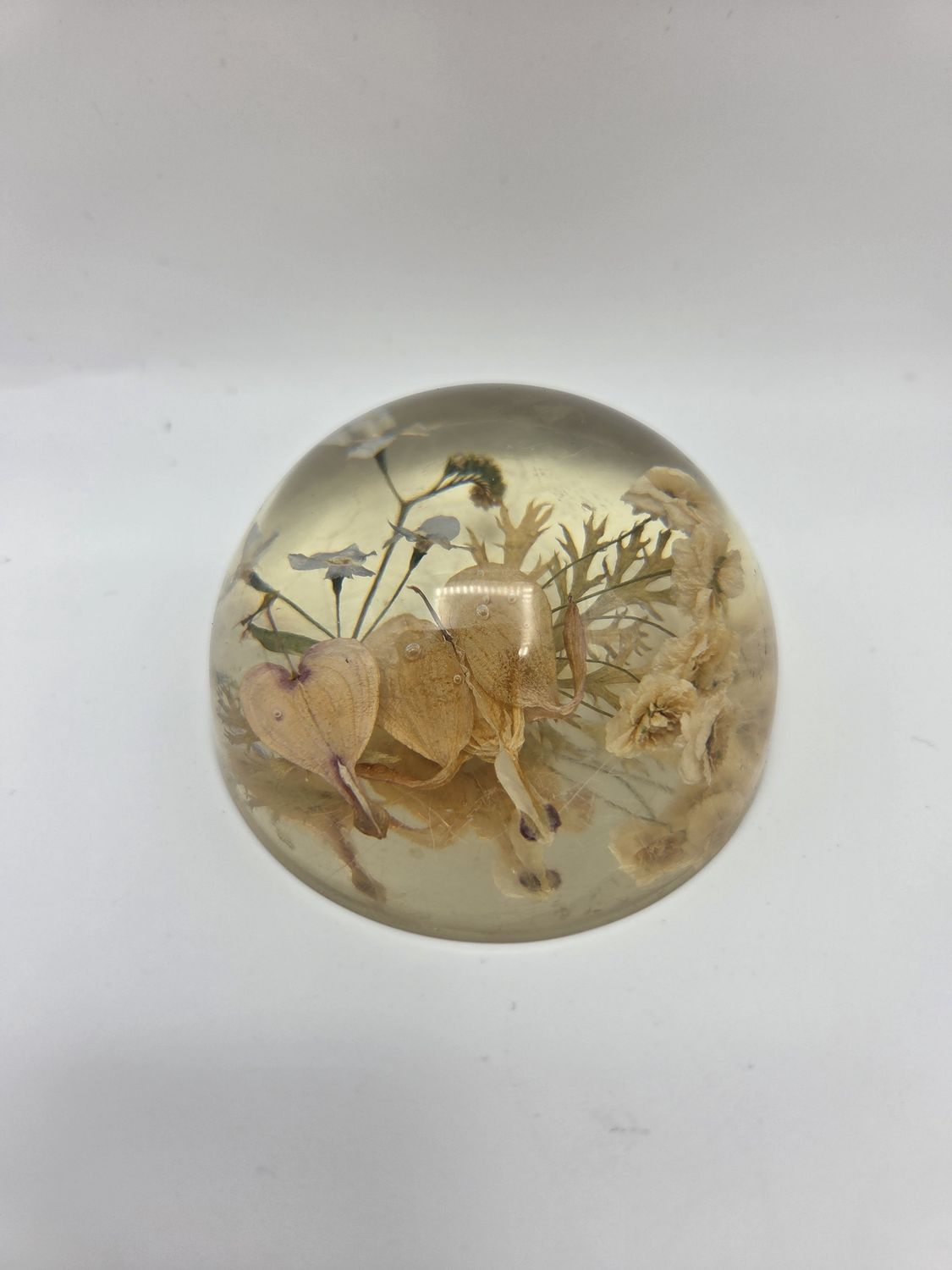Lucite Resin Flower Dome Paperweight