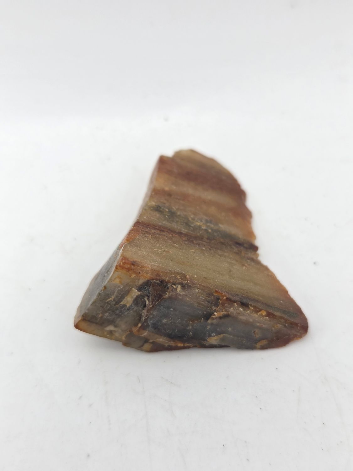 Small Banded Agatized Petrified Wood
